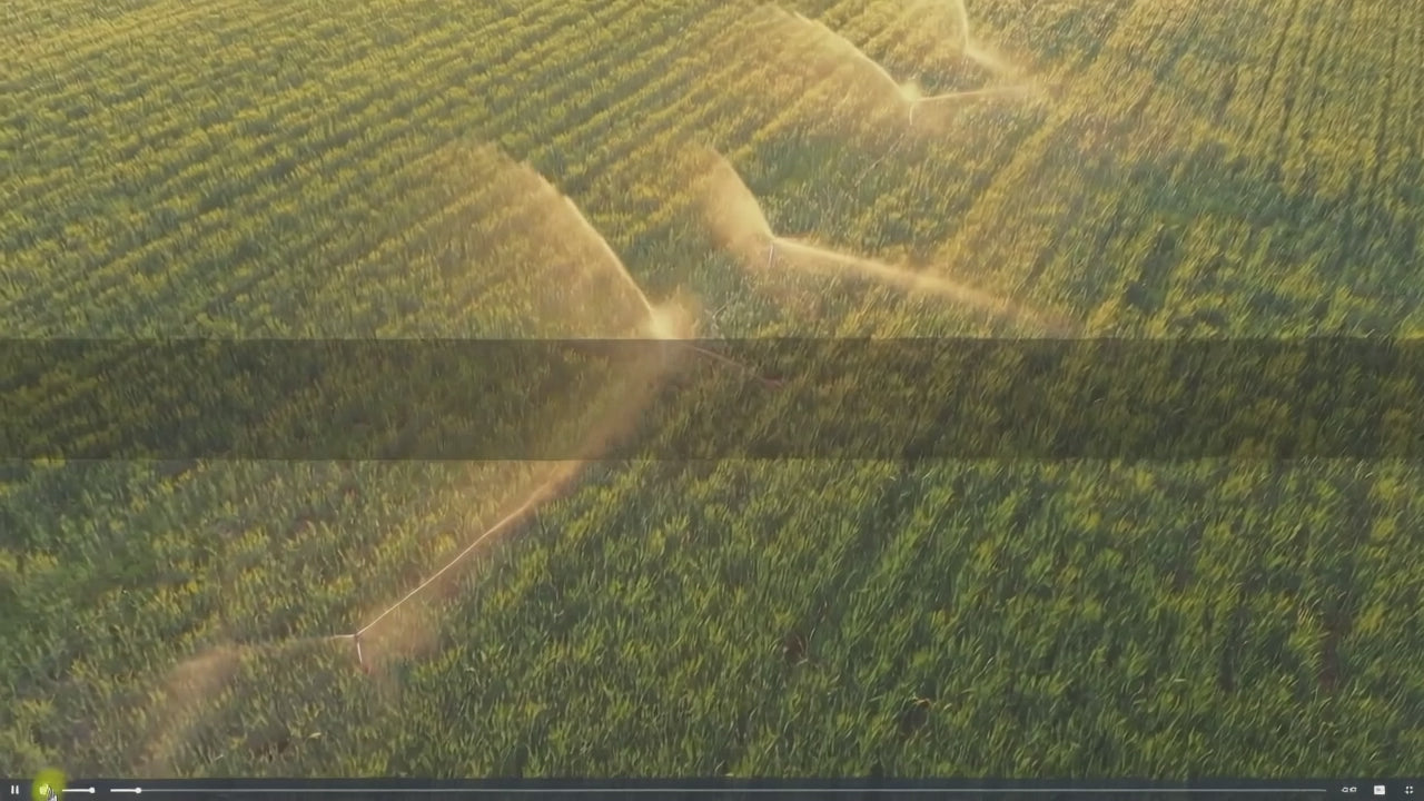 100% Natural Ingredients Turmeric Cinnamon Tea Health Wellness Tea Bag Antioxidant Support Enhances Immunity Health Care Product